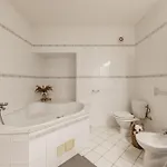 Hradebni Apartman *